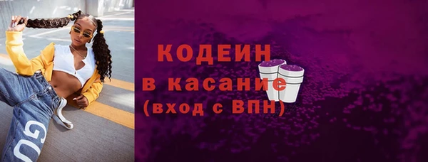шишки Медногорск