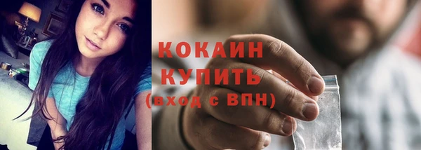 шишки Медногорск