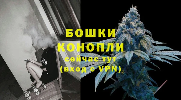 шишки Медногорск