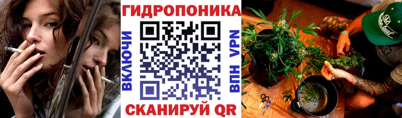 Марихуана THC 21%  Заволжск 